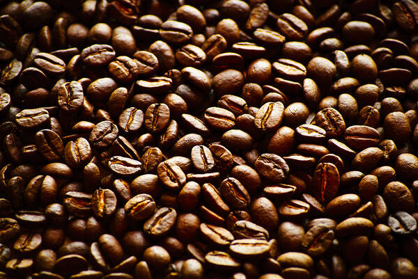 The Best Part of Waking Up - Art Print