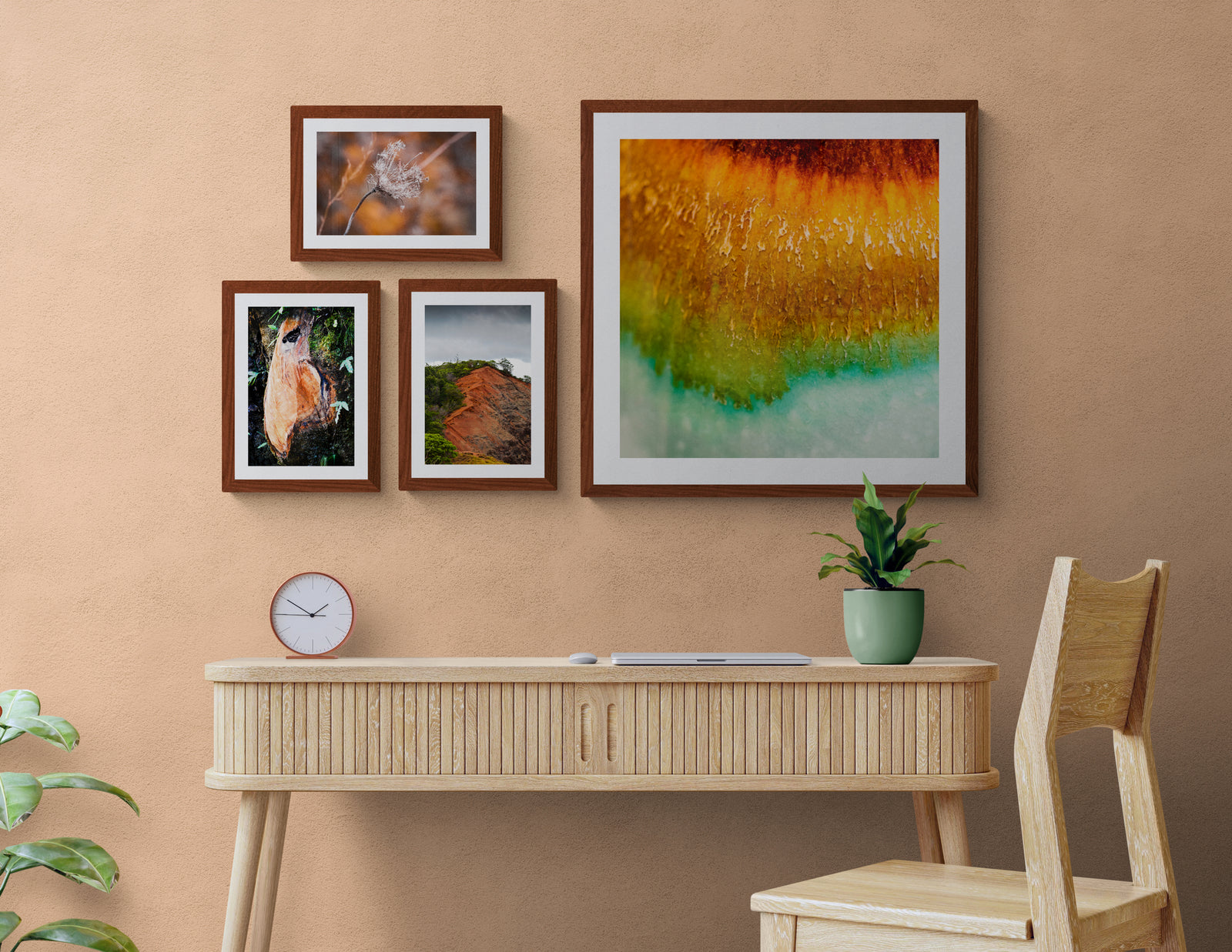 Dreams of the Untamed Wild bundle