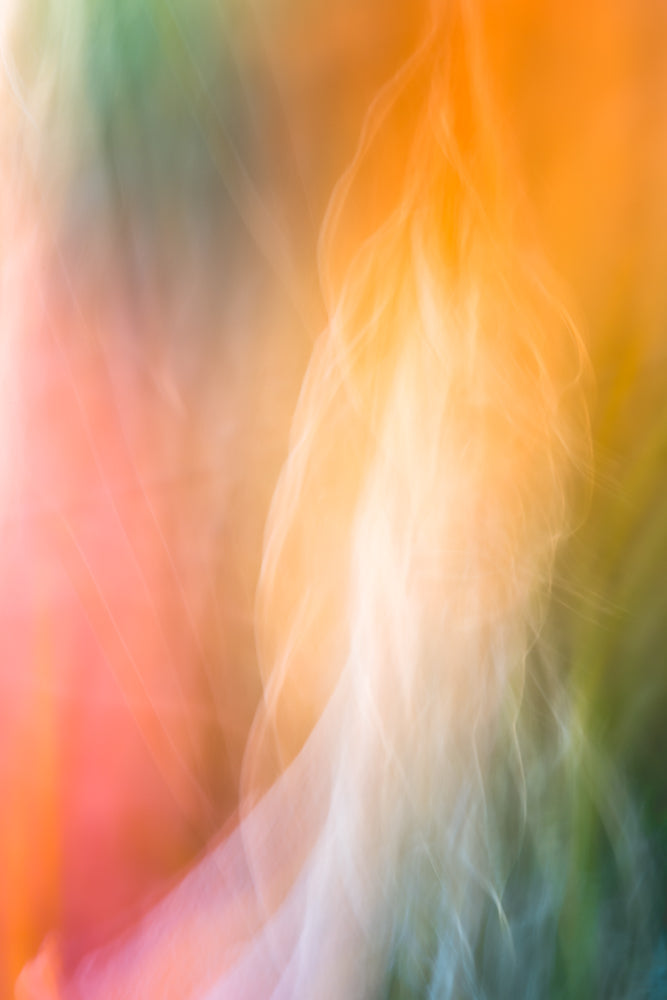 Hope Burns Aloft - Limited Release Art Print