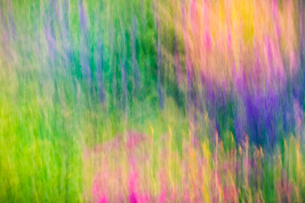 Impressions of a Sunny Afternoon - Limited Release Art Print