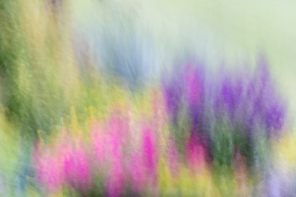 Making Magic in the Garden - Limited Release Art Print