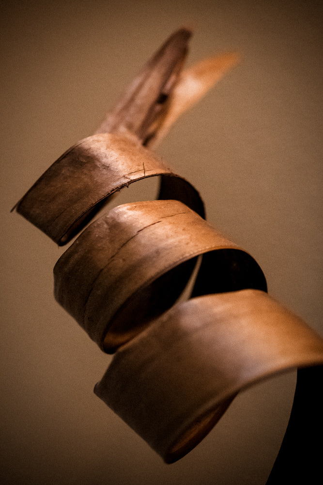 Spring into Spring - Limited Release Art Print