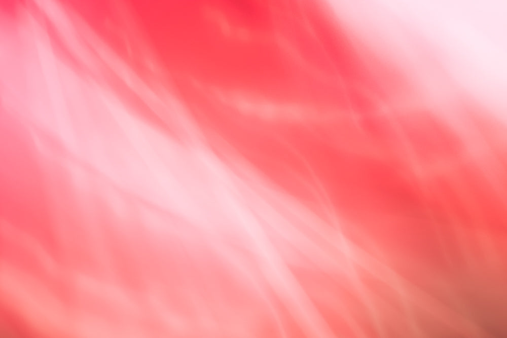 Sweet On You - Limited Release Art Print