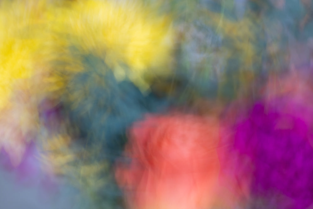 The Garden of My Dreams - Limited Release Art Print