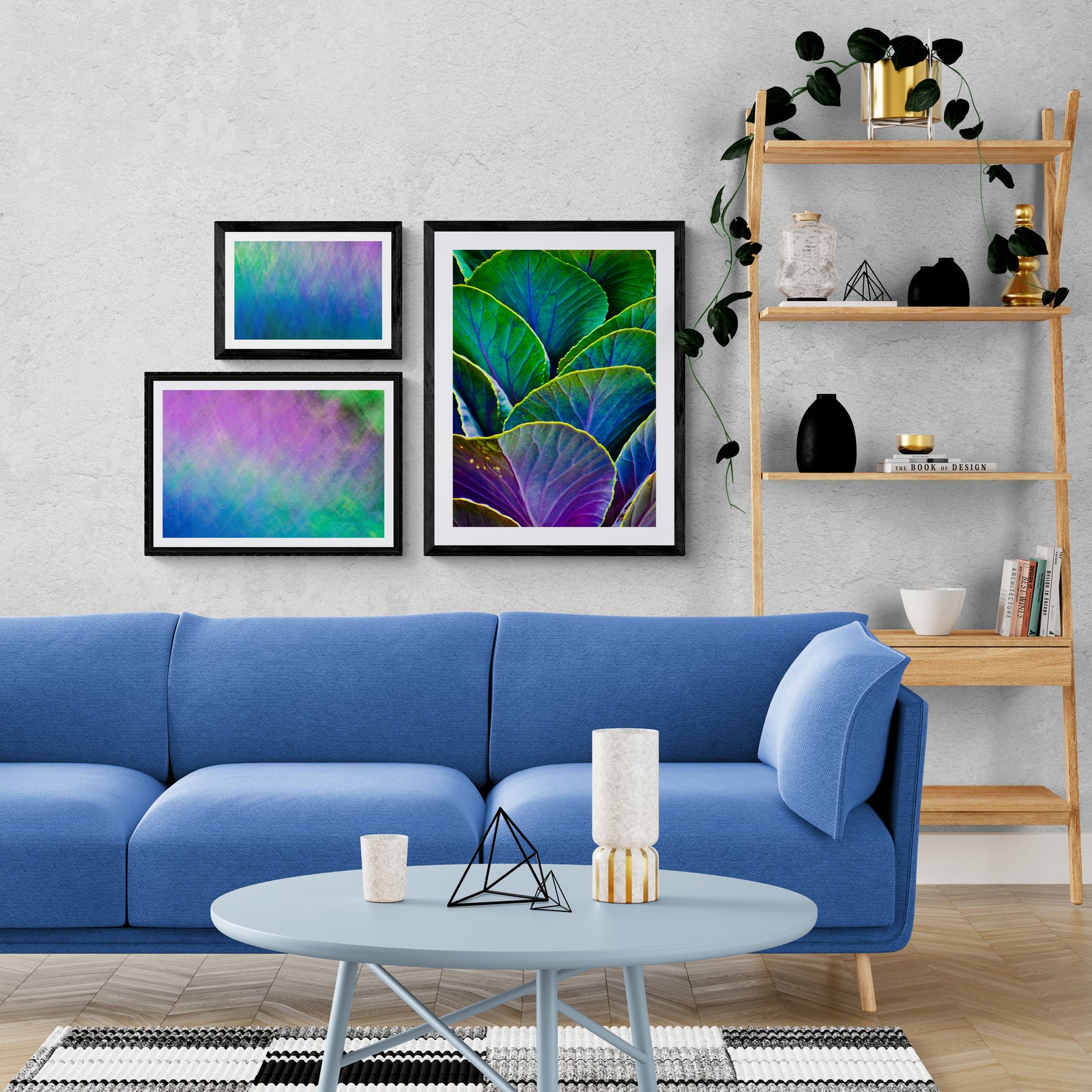 Colorful Cabbage bundle