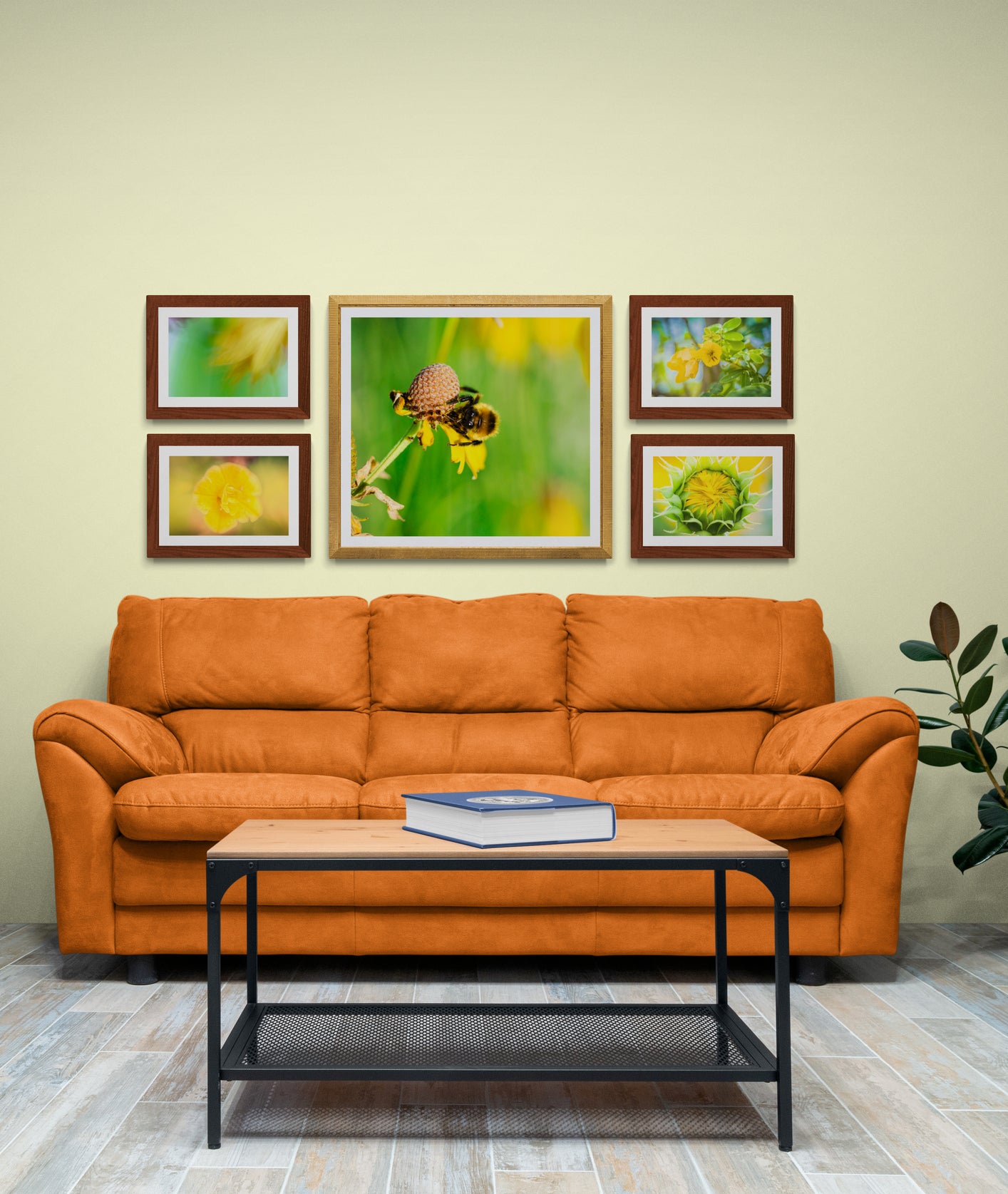 Sunny Summer Day bundle