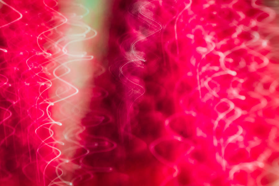 Sweet Holiday Dreams greeting card bundle - Christi Kraft - fine art photography for home decor