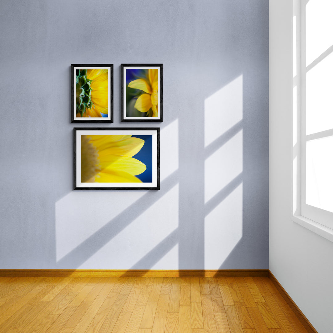 Sunny Sunflowers bundle - Christi Kraft - fine art photography for home decor