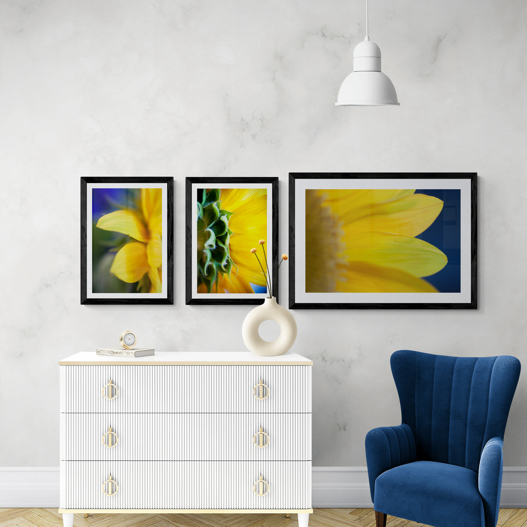 Sunny Sunflowers bundle - Christi Kraft - fine art photography for home decor
