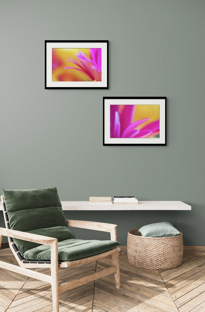 What I Want bundle | Bright floral framed photography wall art pairing |Pink and Yellow 