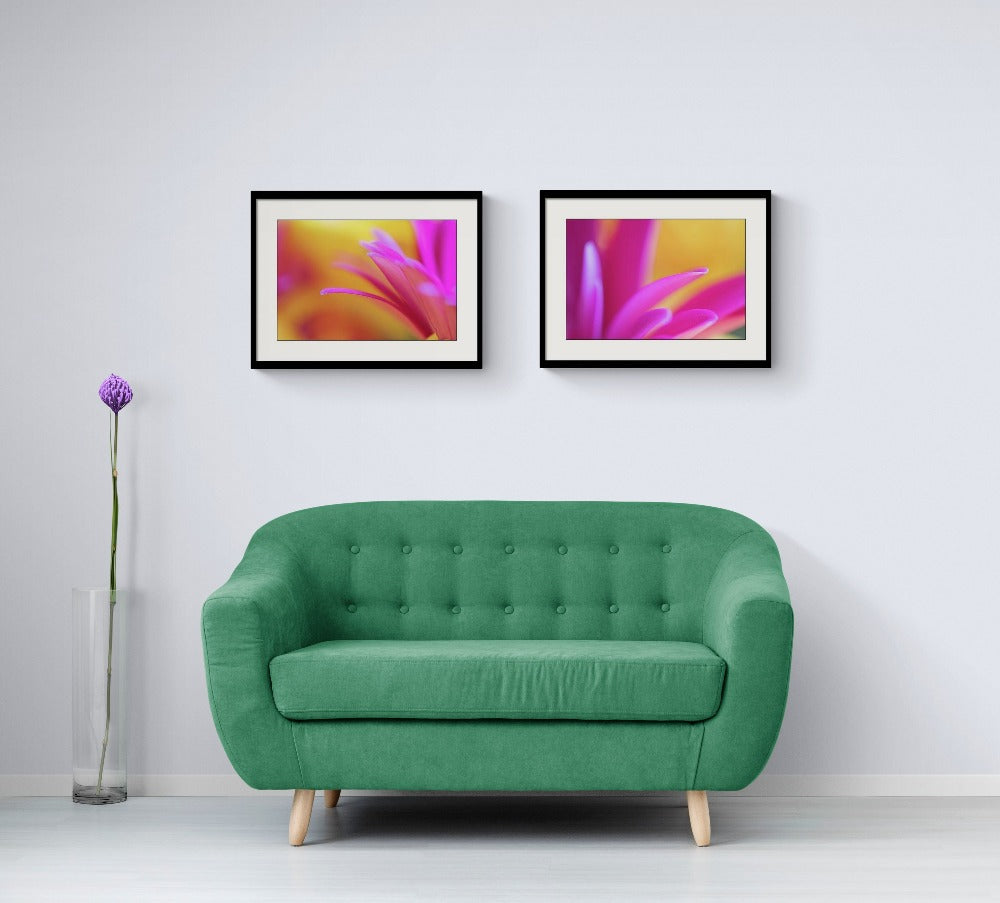 What I Want bundle | Bright floral framed photography wall art pairing |Pink and Yellow 